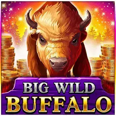 Play Big Wild Buffalo Casimba casino
